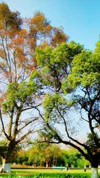 遇見不一樣的「花溪」！