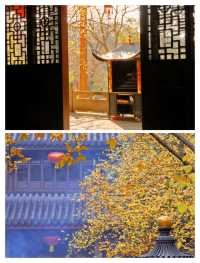 寶藏新昌大佛寺，人少景美值得一去！