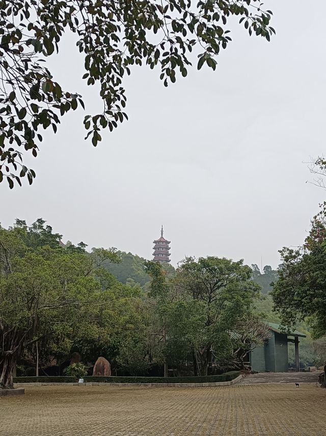 江門·鶴山·周末大雁山徒步