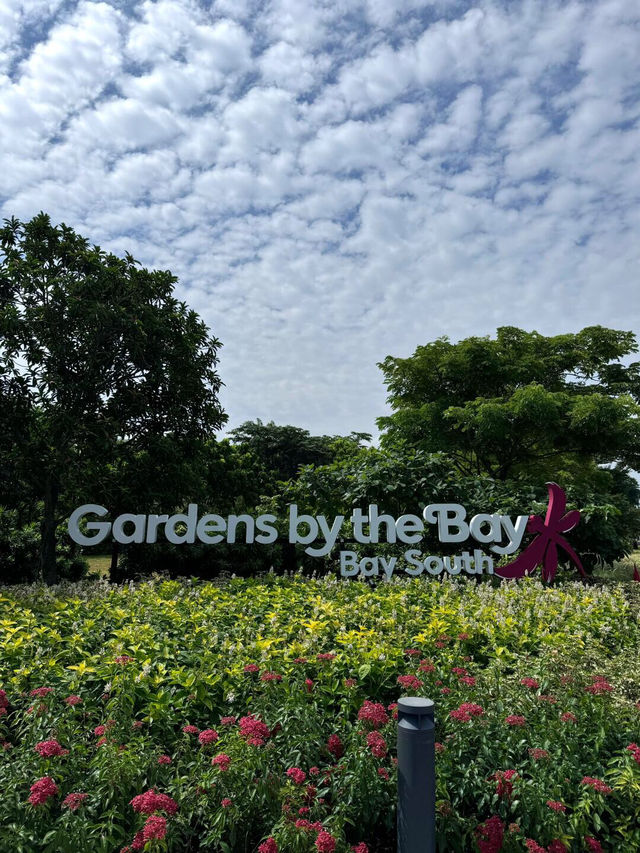 新加坡濱海灣花園 | 雲霧林🌫️ + 超級樹打卡攻略