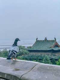 運城｜小眾的池鹽博物館