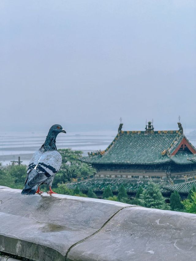 運城｜小眾的池鹽博物館