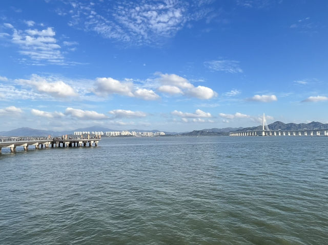 深圳南山區著名海濱路景點：南深圳灣公園，適合拍照打卡親子觀光旅遊。  