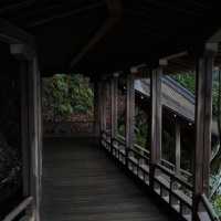 京都｜散步一日