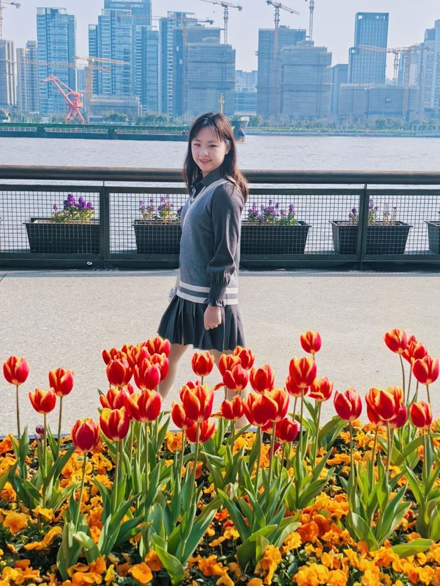 3.1實拍·楊浦濱江的鬱金香美到失語