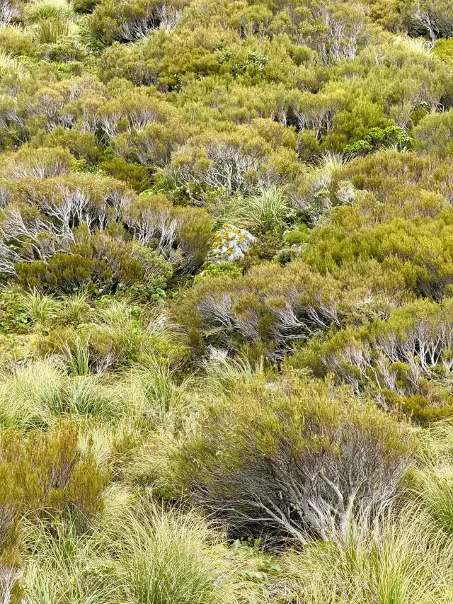 11日間のニュージーランド温泉旅行、詳細攻略