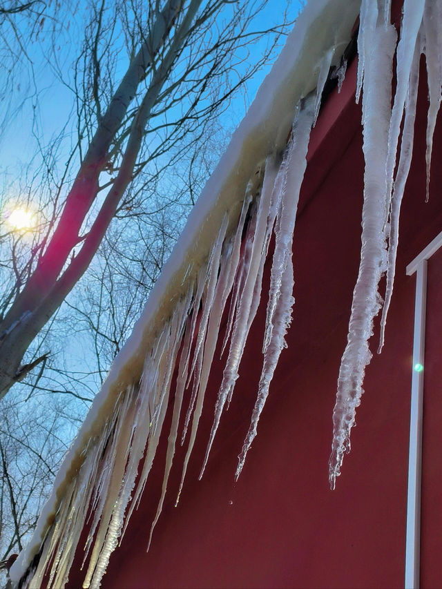 新疆冬日奇幻之旅：大巴扎與水磨溝的冰雪盛宴