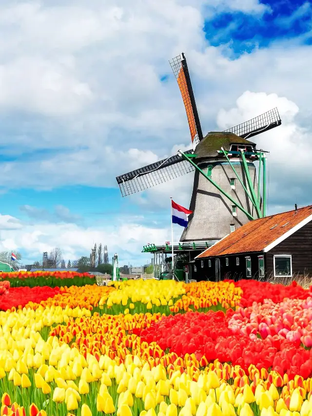 10-Day Multi-Country European Tour: A Super Detailed Guide