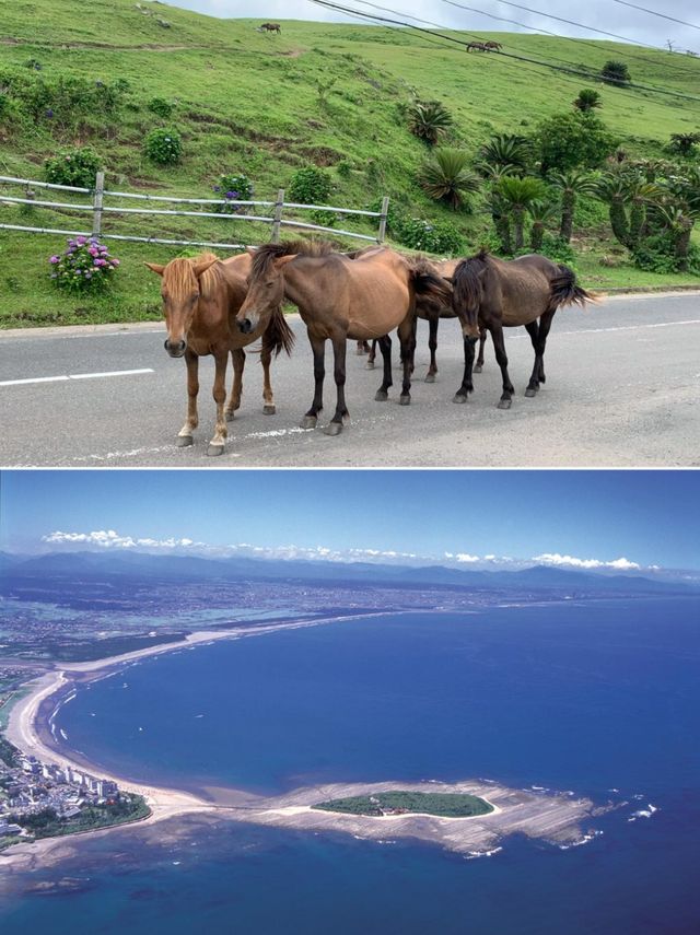 宮崎：和風綺夢，悠然漫遊之旅