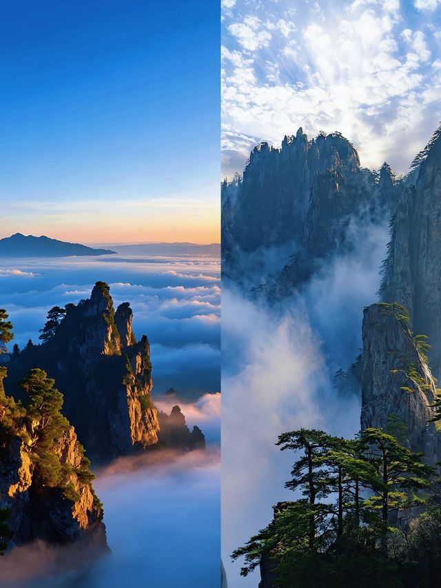一生總要去一趟黃山吧，赴一場與山河的浪漫之約