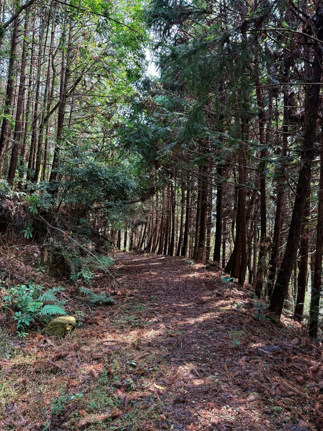 永泰橫串古道，小眾景點，太美了！