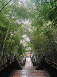 義烏雲黃禪寺/超適合放空自己的寶藏地方