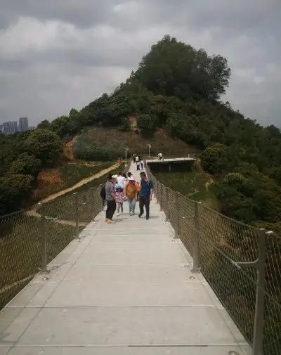 深圳虹橋公園 | 藏在城市裡的「紅色飄帶」！森林徒步+空中棧橋