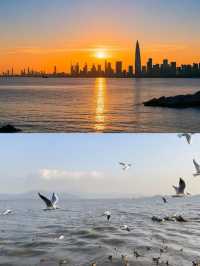 深圳灣公園歡樂海岸 | 寶藏玩法