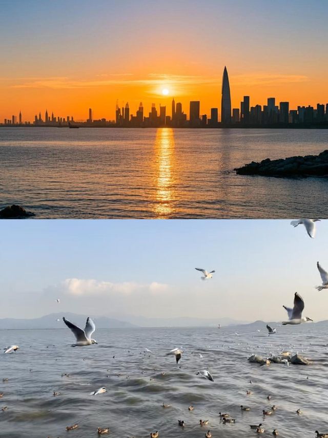 深圳灣公園歡樂海岸 | 寶藏玩法