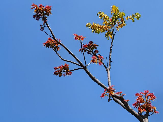 上李水庫踏春