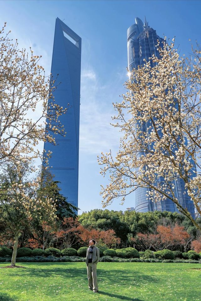 3.19上海的白玉蘭實在是太美了🌸