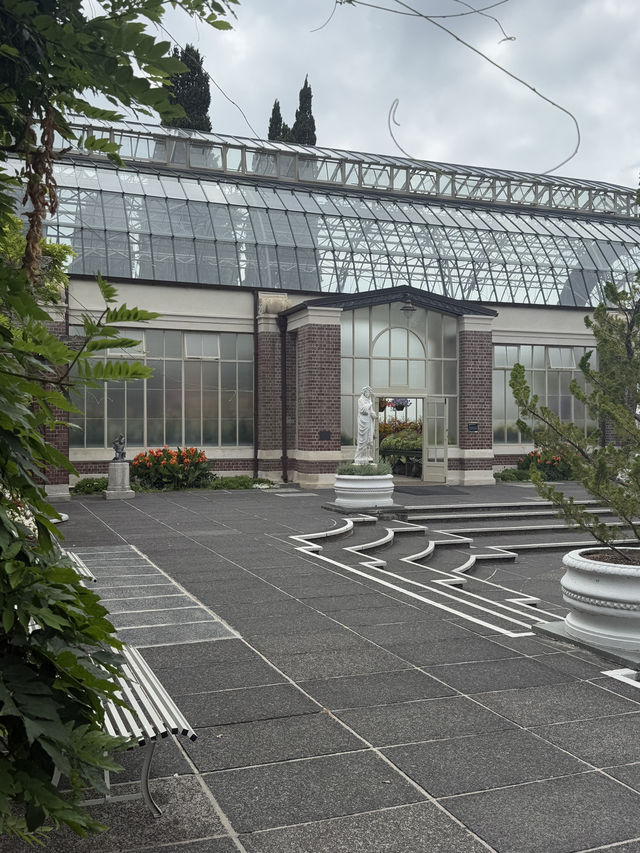 One Of The Best Free Things In Auckland, The Stunning Winter Gardens 