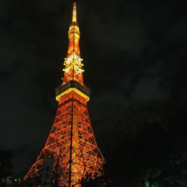 東京city walk🗼中目黑・代官山・澀谷・表參道