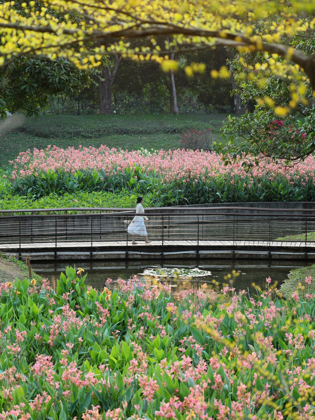 深圳中心公園：都市綠色心臟