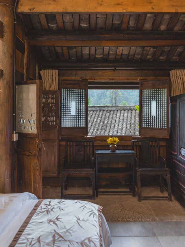 清明私藏路線｜採春茶、住古院、訪古鎮