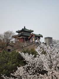 邯鄲｜胡服騎射，叢台公園。