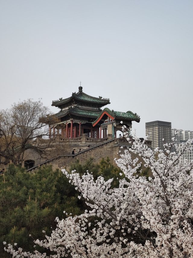邯鄲｜胡服騎射，叢台公園。