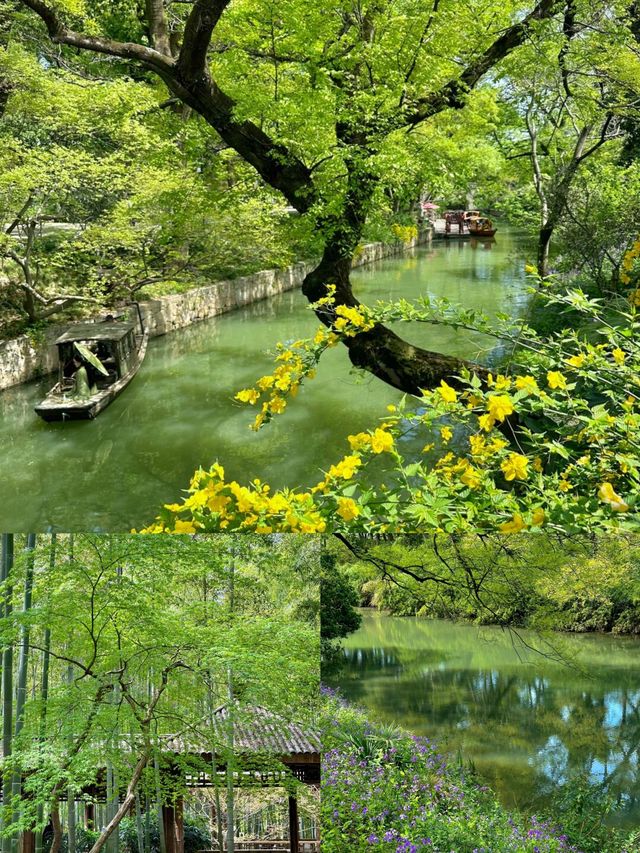 到虎丘先知蘇州嘅春天有幾咁治癒！|||虎丘山風景區