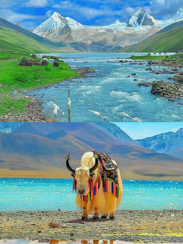 甘南旅遊：人間秘境，信仰與美食的朝聖之旅