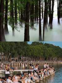 武漢旅遊攻略（自由行）