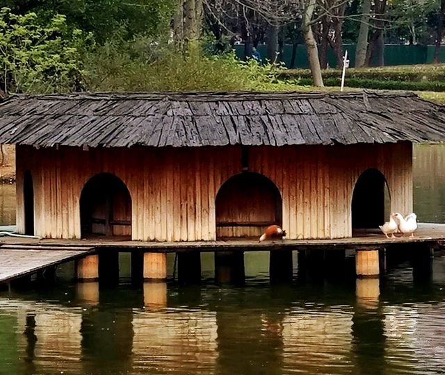 廣東佛山順峰山公園│邂逅江南水鄉