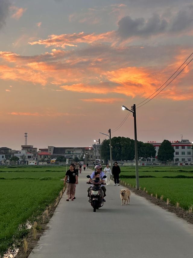 崖口村的風裏，藏着幸福最本真的味道