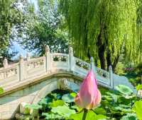 穿越古今，陶然亭公園裏的詩意時光