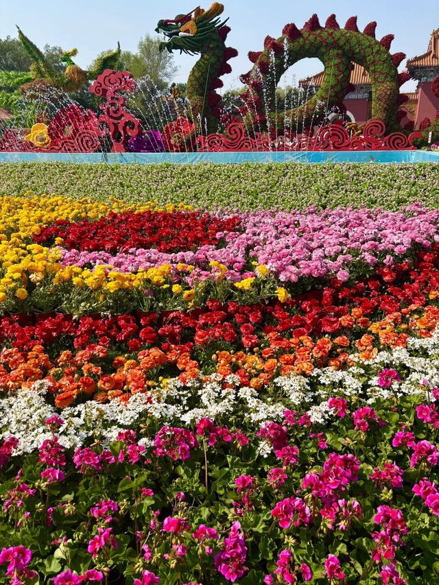 北陵公園：一座皇陵嘅日常美學