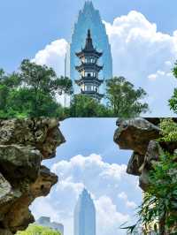反向旅遊成功這才是溫州的正確打開方式