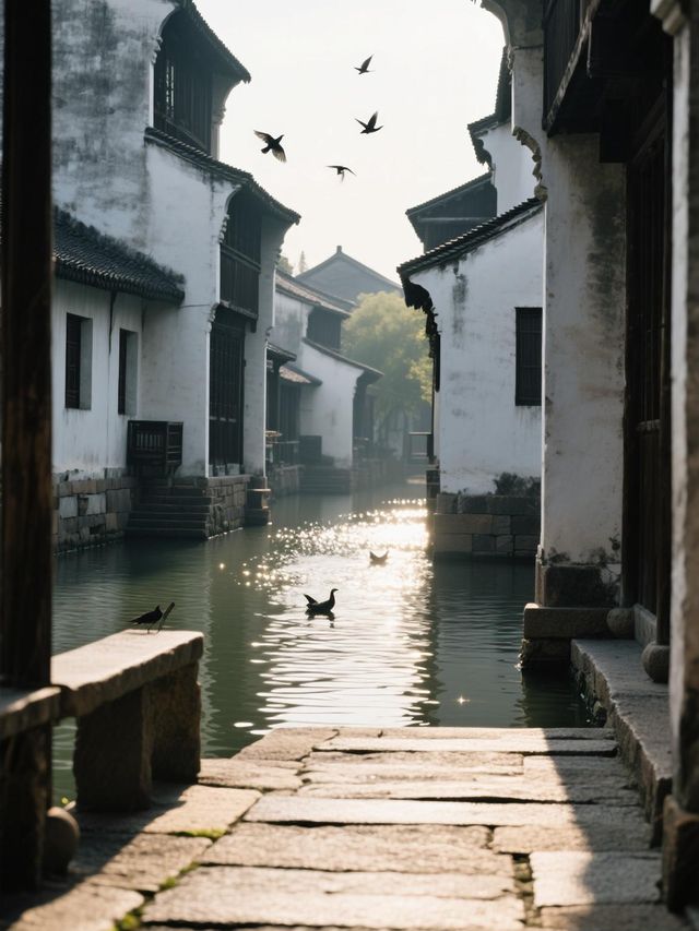 必睇！烏鎮超全旅行指南