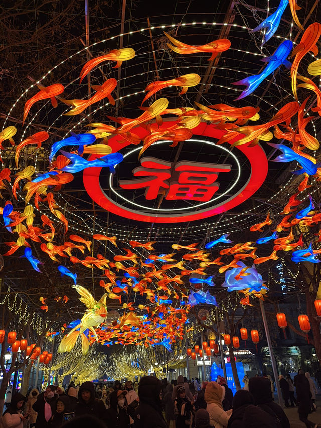 Icy Harbin 🥶