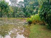 Kunming Botanical Garden: A Botanical Paradise in Southwest China