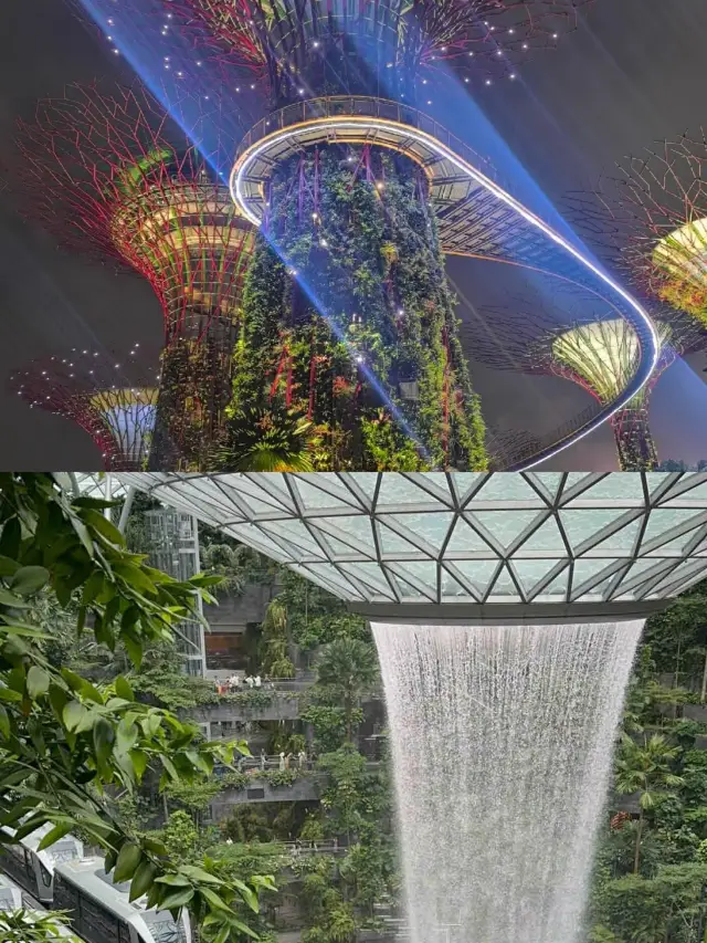 After 5 trips to Singapore, a comprehensive liver-burning nanny-level travel guide