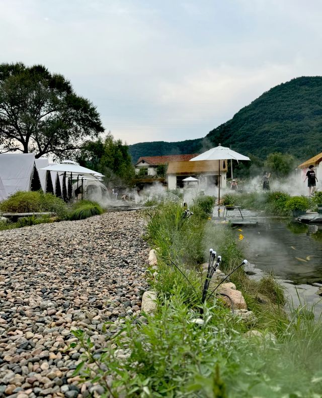 本溪院裡樹下露營|瀋陽後花園嘅吸氧之旅