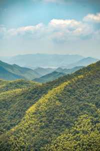 「參差樓閣起高崗，半為煙遮半樹藏。