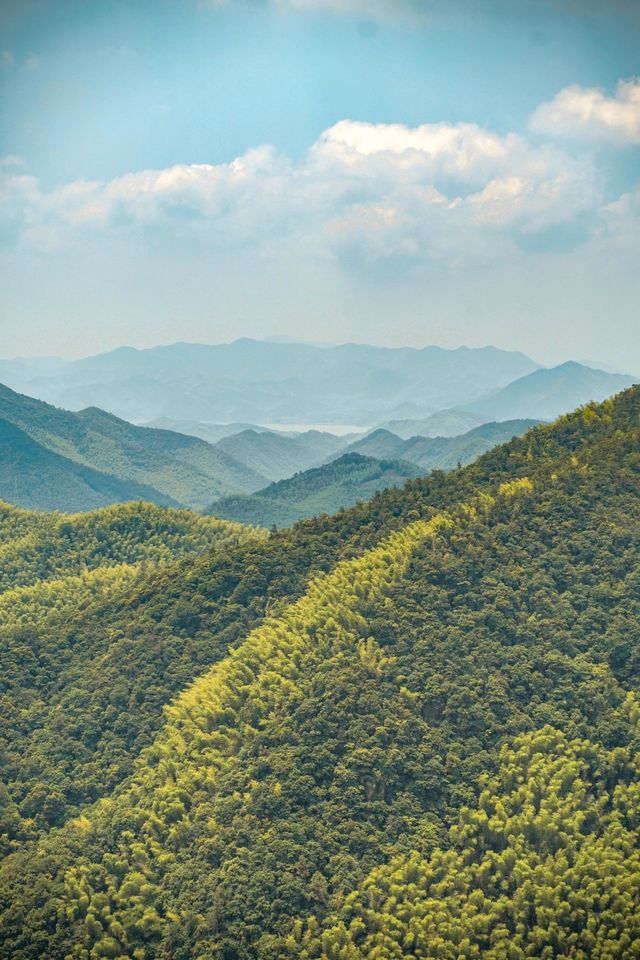 「參差樓閣起高崗，半為煙遮半樹藏。