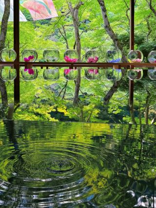 Venice of Japan. Kyoto actually hides such places.