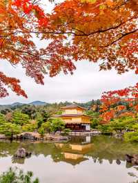 京都2日遊｜人均2千+輕鬆玩轉