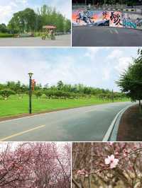 長沙高空美景酒店住進雲端
