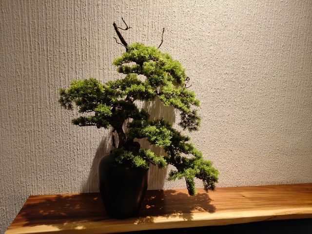 普洱超正酒店，隨手影都係大片