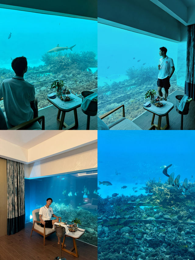 馬爾代夫馬穆塔鉑爾曼度假酒店