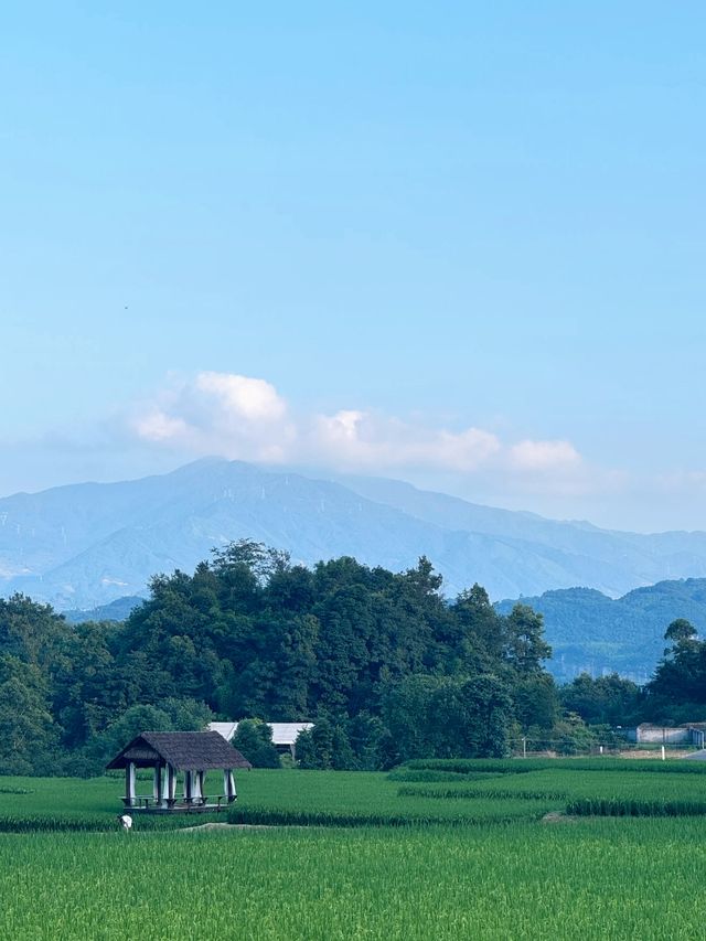 峨眉山腳下住進隱世桃源