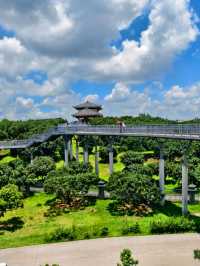 被低估嘅廣東小城,海景荔枝雙豐收