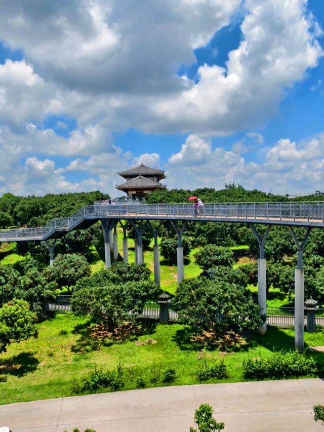 被低估嘅廣東小城,海景荔枝雙豐收 被低估嘅廣東小城,海景荔枝雙豐收